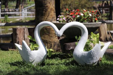 Lagoa de Patos ve Cisnes Dinlenme Evinde Misafir Evi