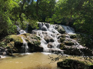 Bonito 'daki Güzel Şelaleler Mato Grosso do Sul Brezilya