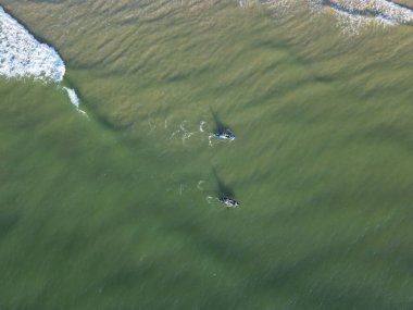 Florianpolis Denizi 'nde yüzen kanolar