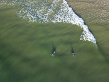 Florianpolis Denizi 'nde yüzen kanolar