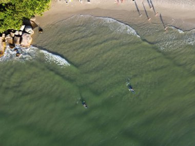 Florianpolis Denizi 'nde yüzen kanolar