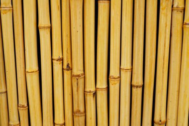 Dekoratif Bambu Arkaplan Dokusu