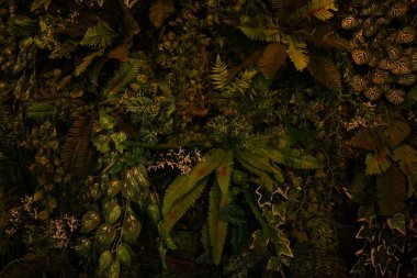 Yapay Bitkilerin Doğal Dokuları Dekoratif Duvarı