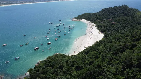 Florianpolis 'teki Campeche Adası' nın Hava Görüntüleri