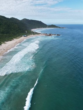 Praia Köstebek Florianpolis Sörfçüleri Plajı