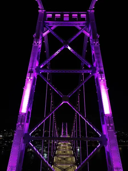 Hercilio Luz Köprüsü Florianpolis Gecesi - Mor / Leylak