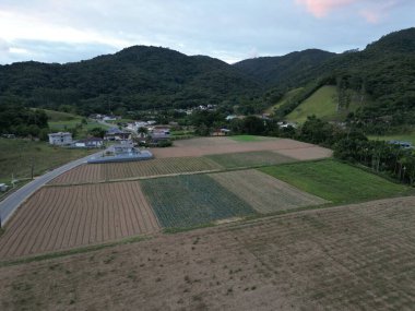 Santo Amaro da Imperatriz 'deki tarlalar ve dağlar
