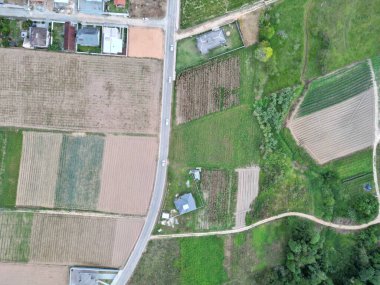 Santo Amaro da Imperatriz 'deki tarlalar ve dağlar