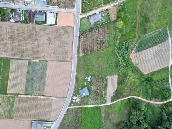 Santo Amaro da Imperatriz 'deki tarlalar ve dağlar