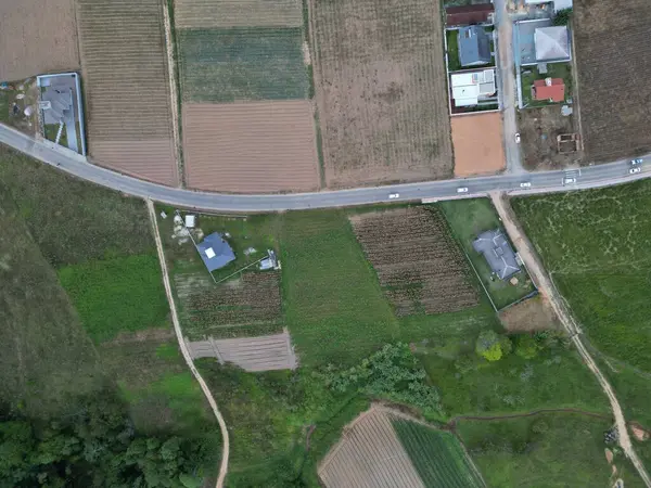 Santo Amaro da Imperatriz 'deki tarlalar ve dağlar