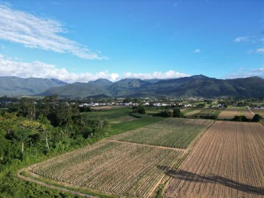 Santo Amaro da Imperatriz 'deki tarlalar ve dağlar