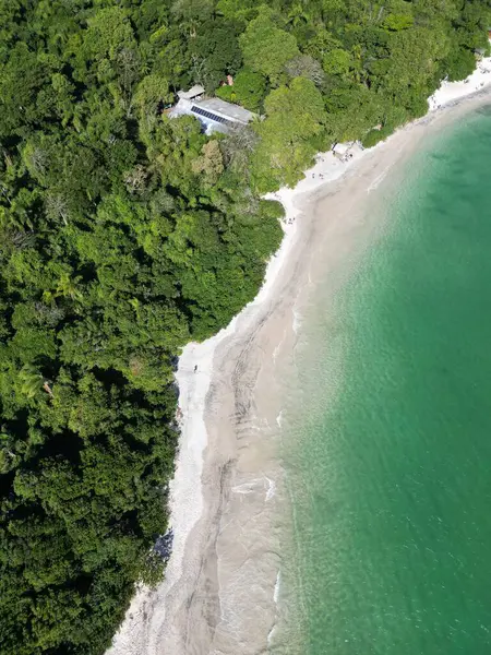 Campeche Adası Florianpolis Hava Görüntüleri