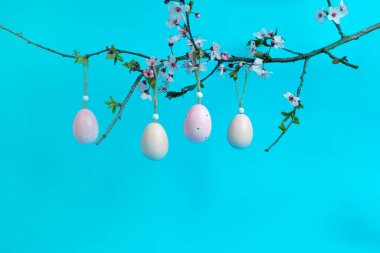 Çiçek açan bir ağaç dalından sarkan narin pembe Paskalya yumurtaları canlı mavi arka planda. Bahar, yenilenme ve Paskalya geleneklerinin mükemmel bir temsili..