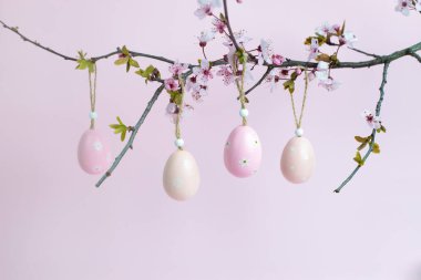 Süslü pastel Paskalya yumurtaları çiçek açan kiraz ağacından sarkan yumuşak pembe arka planda. Tatil pazarlama ve mevsimlik kampanyalar için mükemmel bir bahar temalı kompozisyon..