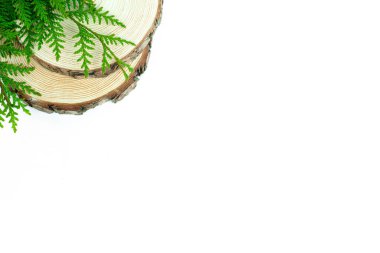 Temiz beyaz arka planda yemyeşil dallarla süslenmiş kırsal ahşap kütüklerin doğal ve minimalist dilimleri. Doğadan esinlenilmiş tasarımlar ya da çevre dostu sunumlar için mükemmel.