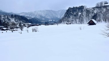 Kar ve ağaçlarla kaplı kış manzarası