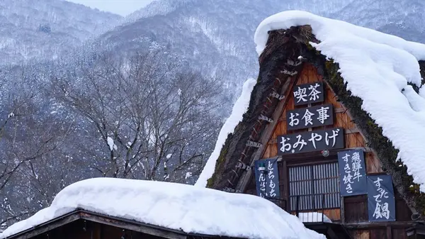 Parkın güzel manzarası