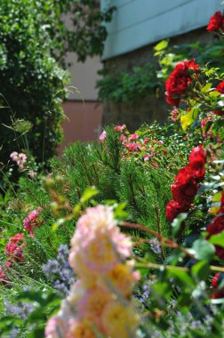 The lush greenery of the surrounding countryside frames the scene, while the crisp blue sky adds a touch of serenity. Every corner whispers stories of tradition, simplicity, and the quiet beauty of rural life. Whether it s the meticulously kept