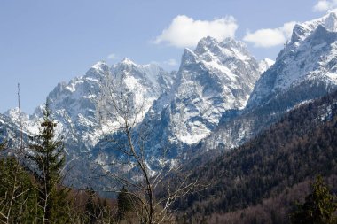 Görkemli karla kaplı dağlar arka planda hüküm sürüyor. Önde koyu yeşil ağaçlar ve açık mavi gökyüzünün altında birkaç çıplak ağaç var..