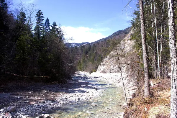 Berrak, kayalık bir nehir, beyaz bulutlarla benekli mavi gökyüzünün altında yükselen dağlarla dolu bir vadi boyunca esiyor..