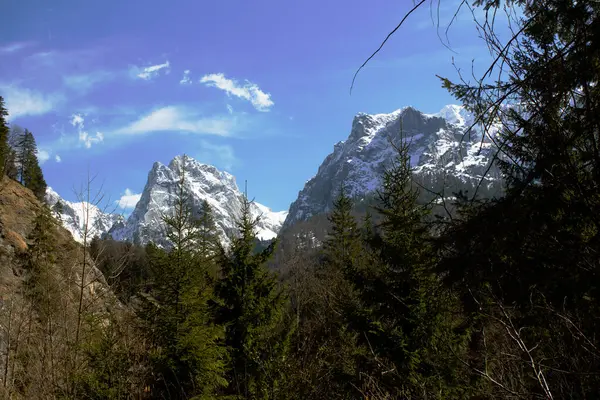 Görkemli karla kaplı dağlar ufka hükmediyor. Parçalı bulutlu mavi gökyüzünün altındaki yemyeşil ağaçlarla çelişiyor. Muhteşem bir alp manzarası sergiliyorlar..