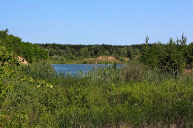 Sakin mavi bir göl, geniş ve berrak bir gökyüzünün altındaki canlı yeşil sazlıklar ve ağaçlar tarafından çerçevelenir ve barışçıl bir doğal manzara yaratır.