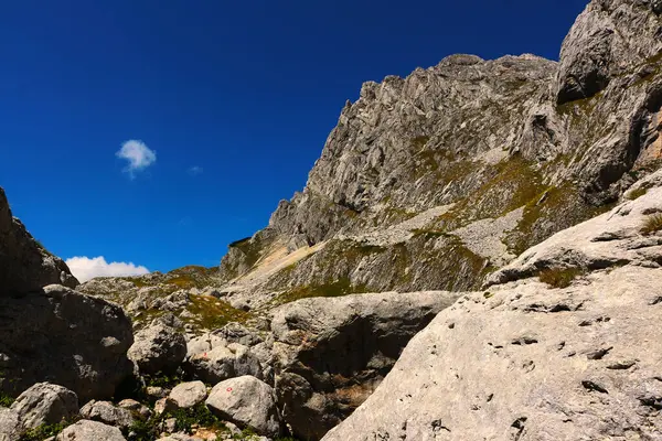 Görkemli dağlar manzaraya hükmediyor. Kayalık tepeleri, güneşli bir günde açık mavi bir gökyüzünün altındaki yeşil çimlerle çelişiyor.