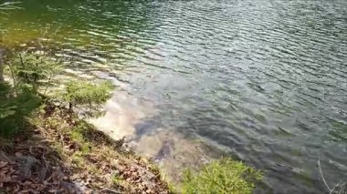 Güneşli bir öğleden sonra gölde huzur dalgaları ve yansımalarla