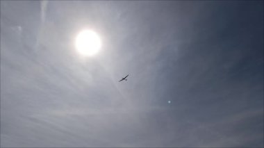 Güneşli bir öğleden sonra gökyüzünde süzülen planör