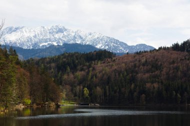 Hechtsee 'nin durgun suları karla kaplı görkemli dağları ve Tyrol' daki yumuşak, bulutlu gökyüzünün altında kıyılarını kaplayan sık ormanları yansıtır.