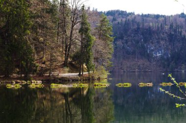 Kufstein 'deki dingin Hechtsee gölü, etrafındaki yemyeşil ormanı ve gökyüzünün yumuşak tonlarını yansıtır. Huzurlu ve resmedilmiş Avusturya manzarası yaratır.