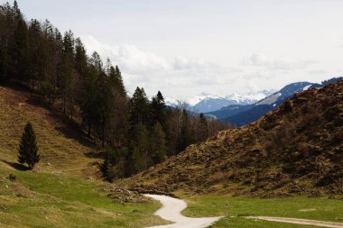 Kavisli beyaz bir yol Walleralm 'ın yeşil ve kahverengi çimenli tepelerini kesiyor, parçalı bulutlu bir gökyüzünün altındaki görkemli kar örtülü dağlara doğru gidiyor.