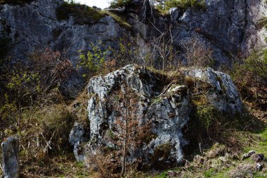 Yosun kaplı kayalar, engebeli uçurumlara ve yumuşak bir doğal ışık altında seyrek bitki örtüsüne dayanan Walleralm manzarasına hükmediyor.