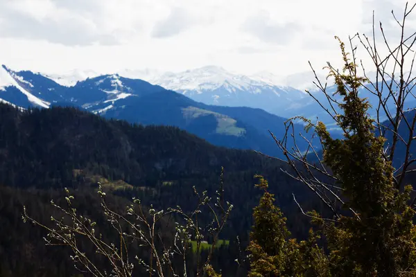 Karla kaplanmış dağ tepelerinin manzarası, bulutlu bir gökyüzünün altında yükselen, sonsuz yeşil ormanlar, dingin doğal güzelliği çağrıştırıyor.