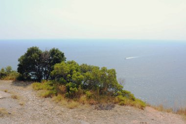 Yüksek bir bakış açısından, puslu sahne, sessiz ve bulutlu bir gökyüzünün altında büyük bir su kütlesiyle buluşmak için inen engebeli bir uçurumu gözler önüne seriyor.