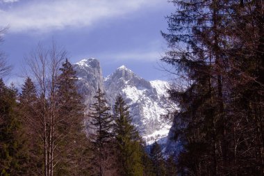 Tırtıklı, karla kaplı zirveler, Avusturya Alpleri 'nde daima yeşil ve yaprak döken ağaçlardan oluşan karanlık bir ormanla çevrili parçalı bulutlu bir gökyüzüne çarpıcı bir şekilde yükselir.
