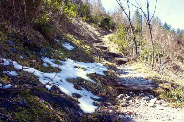 Eriyen karlar, parlak bir gökyüzünün altındaki yapraksız ağaçların arasından yükselen kayalık bir patikanın yanındaki yosunlu yosunlu yamaçlara tutunuyor.