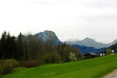 Verdant Hills ile sakin kırsal manzara, ağaçlar arasında yuvalanmış birkaç ev, ve sisli mesafede yükselen etkileyici dağlar