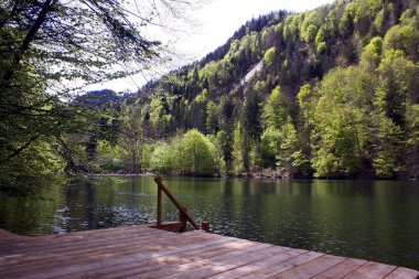 Huzurlu bir göl. Pfrillsee yemyeşil ormanlı dağların arasına yerleşmiş. Sakin, yansıtıcı suya uzanan ahşap bir rıhtım var.