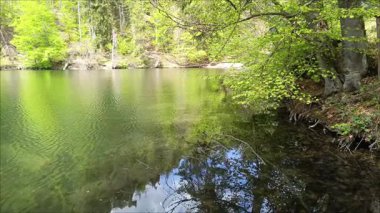 Yumuşak güneşin altında bereketli yaprakların ve tatlı su dalgalarının hışırtıları doğa severler ve gezginler için ahenkli bir geri çekilme oluştururken, huzurlu bir göl beşikte parıldıyor..