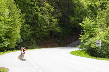Güneş ışığı altında canlı yeşil bir ormanı kesen serpentin asfalt bir yol. Yol kenarındaki işaretler viraj boyunca yol gösterirken, bir uyarı işareti yayaları ve bisikletçileri bu doğal Avusturya manzarasındaki potansiyel tehlikelere karşı uyarır.