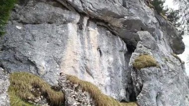 Yüksek kaya oluşumlarının nefes kesen güzelliğini keşfedin, canlı yeşilliklerle süslenmiş ve öğleden sonra ışığının hafif dokunuşuyla, doğa resim gibi bir dağ manzarasında göz kamaştırıyor..