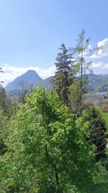 Bereketli yeşilliğin nefes kesen manzarasını ve dingin dağları ve parlak mavi gökyüzünün altındaki canlı vadiyi güzel bir bahar gününde çevreleyen yükselen ağaçları deneyimleyin..