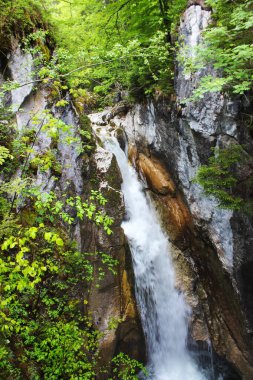 Tatzelwurm 'un kayalık uçurumlarında çağlayan sular, canlı yeşilliklerle çevrilidir. Akan suyun huzurlu sesi havayı dolduruyor, ziyaretçileri dokunulmamış doğayla bağlantı kurmaya çağırıyor..