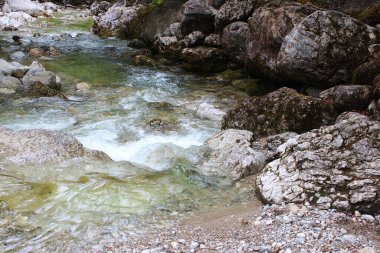 Almanya, Tatzelwurm 'da, parlak yeşilliklerin kaya oluşumlarının engebeli güzelliğiyle buluştuğu, keşif ve sükuneti davet ettiği yumuşak taşların üzerinde ışıldayan su hafifçe akıyor..