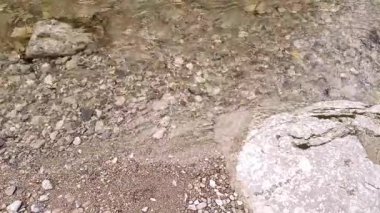Almanya 'da Tatzelwurm' un akan suları sakin bir nehir kıyısı ortamında kayalık yüzeylerde dans ediyor, bu huzurlu yerde huzur ve güzellik sergiliyor..