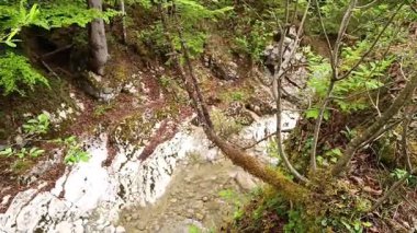 Serin bir dere yemyeşil ve yosun kaplı kayalarla dolu verimli bir ormanın içinden akar. İlkbahar boyunca tenha bir bölgede güzellikler sergilenir..