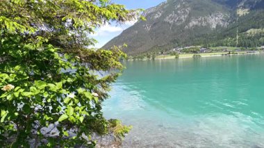 Avusturya 'nın Tyrol kentindeki berrak Achensee' de huzurlu bir anın tadını çıkarın. Canlı turkuaz sular berrak gökyüzünün altındaki görkemli dağları yansıtarak barışçıl bir atmosfer yaratıyor..