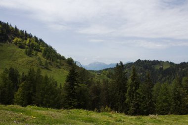 Kufstein yakınlarındaki Tyrol 'un yemyeşil tepeleri açık mavi gökyüzü altındaki uzak dağlarla nefes kesen doğal bir manzarayı gözler önüne seriyor. Açık hava keşfi ve rahatlama için mükemmel..