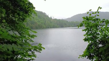 Yağmur sakin bir göle yavaşça yağarken, canlı yeşil ağaçlar manzarayı çerçeveliyor. Arka planda puslu dağlar yükselir ve doğal ortamda huzurlu bir atmosfer yaratır..